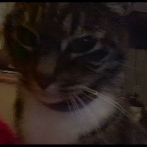 Meet your Posher, Felicity